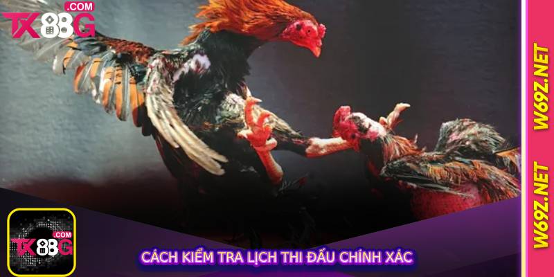 Cách kiểm tra lịch thi đấu chính xác